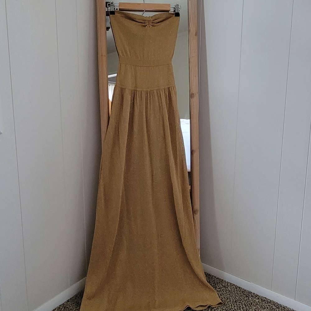Sheer Gold BCBG Max Azria Maxi Dress